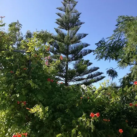 Bed and Breakfast La Lanterna Delle Fate Οτράντο