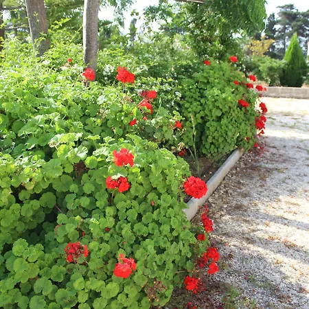 La Lanterna Delle Fate Отранто