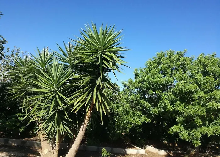 La Lanterna Delle Fate Oda ve Kahvaltı