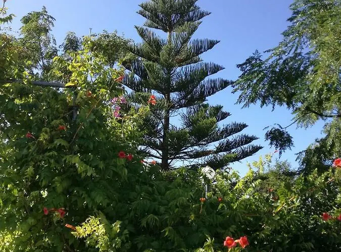 Oda ve Kahvaltı La Lanterna Delle Fate Otranto